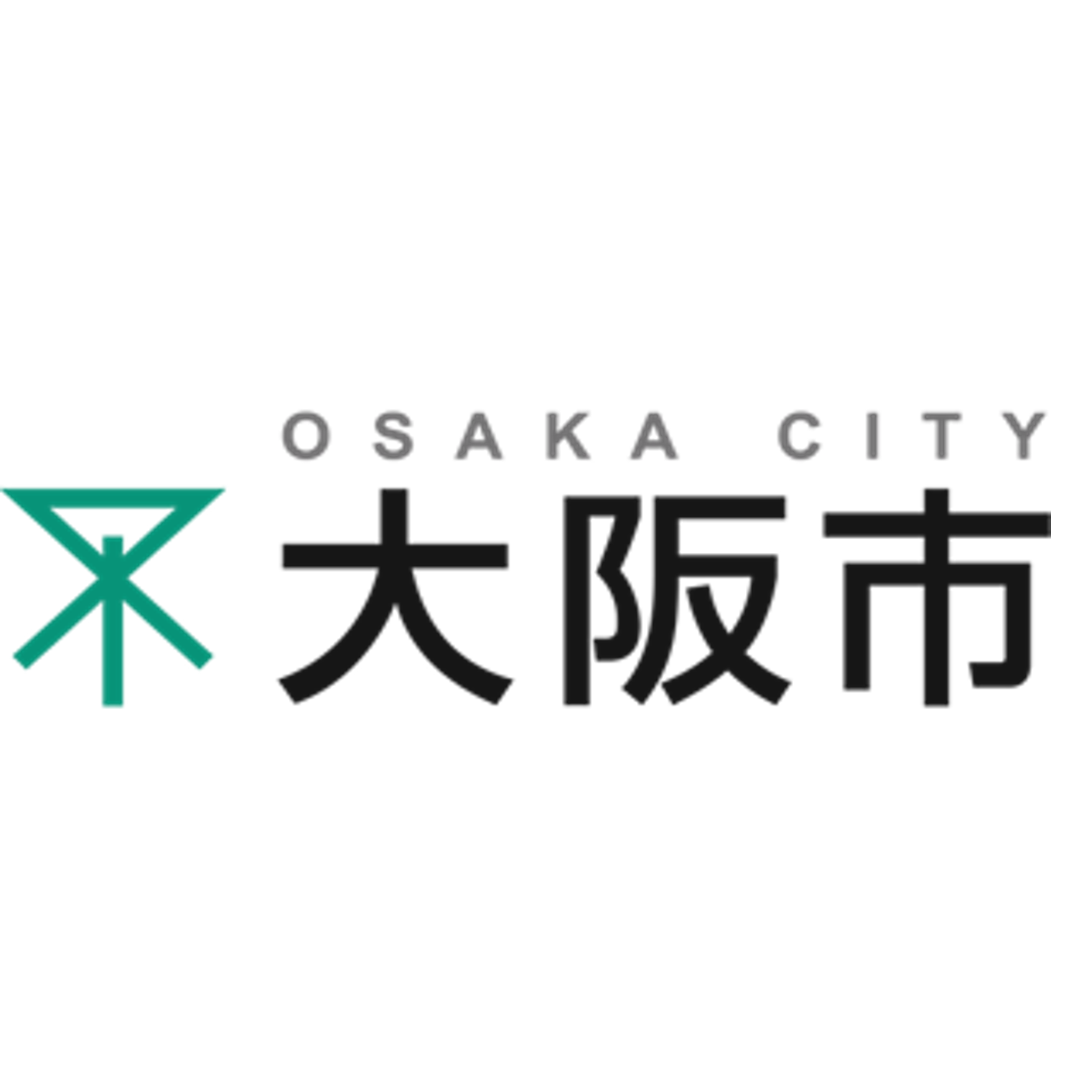 大阪市 環境局環境施策部環境施策課エネルギー政策担当　杉本　朱音 