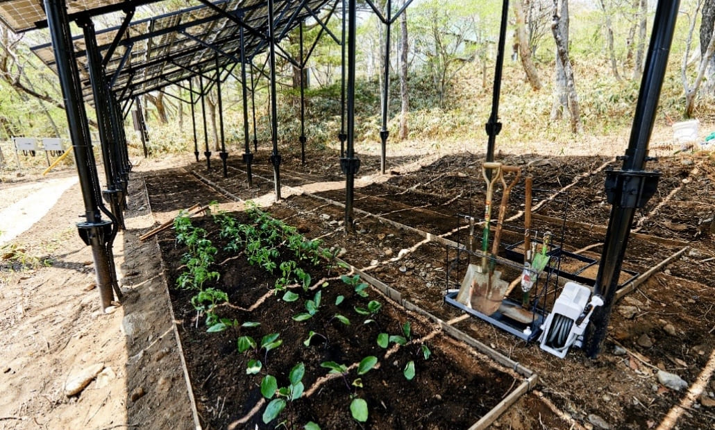 株式会社Ｌｏｏｏｐ