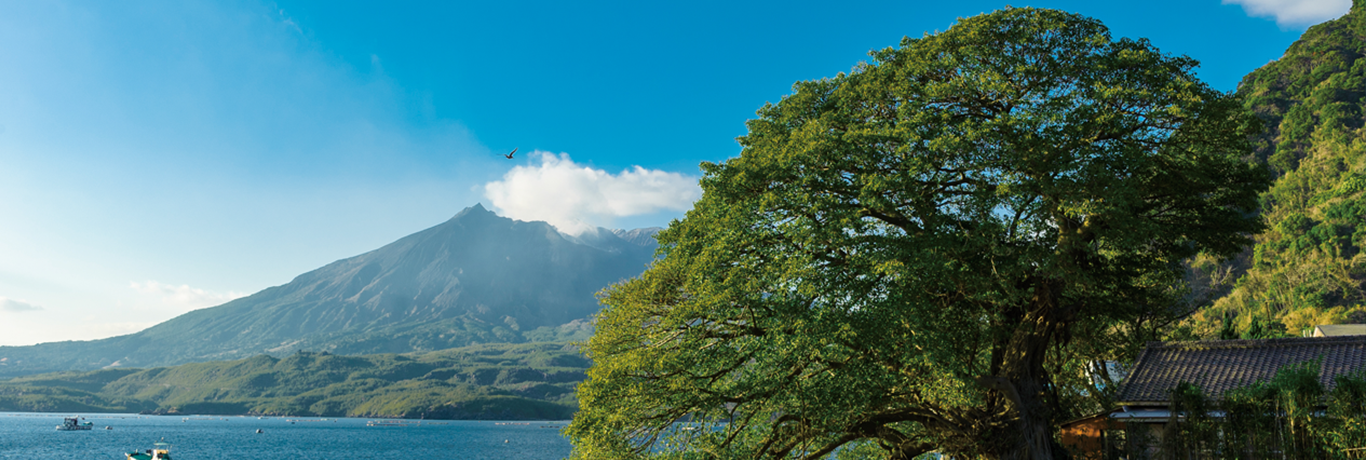 鹿児島県垂水市